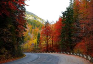 A paved road curving around fall trees on the Talimena Scenic Byway