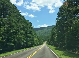 A road leading into a lush green forest on the Talimena Scenic Byway