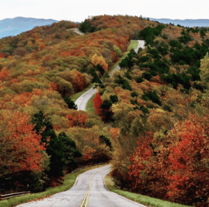 Photo of a road leading into fall foliage in the mountains