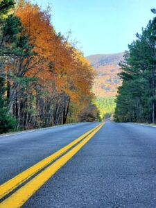 A straight road leading into Ouachita Mountains in the fall