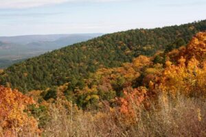 Photo of fall foliage on the Ouachita Mountain Range